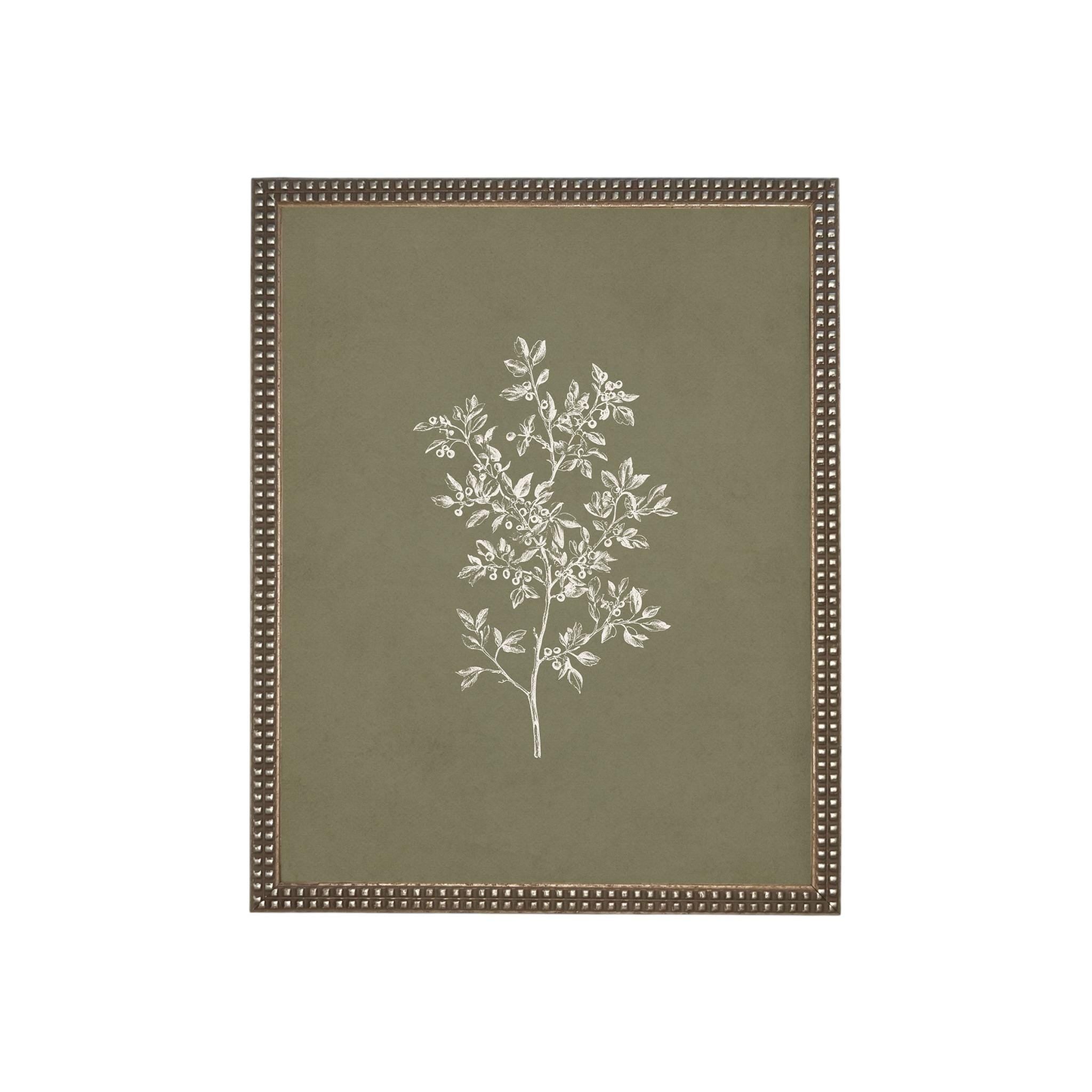 Framed Vintage Botanical Sketch Print: Farmhouse Canvas Art #ST-169