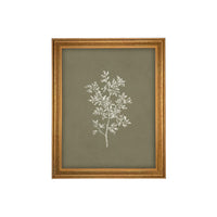 Framed Vintage Botanical Sketch Print: Farmhouse Canvas Art #ST-169