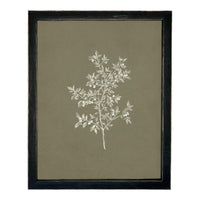 Framed Vintage Botanical Sketch Print: Farmhouse Canvas Art #ST-170