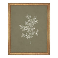 Framed Vintage Botanical Sketch Print: Farmhouse Canvas Art #ST-170