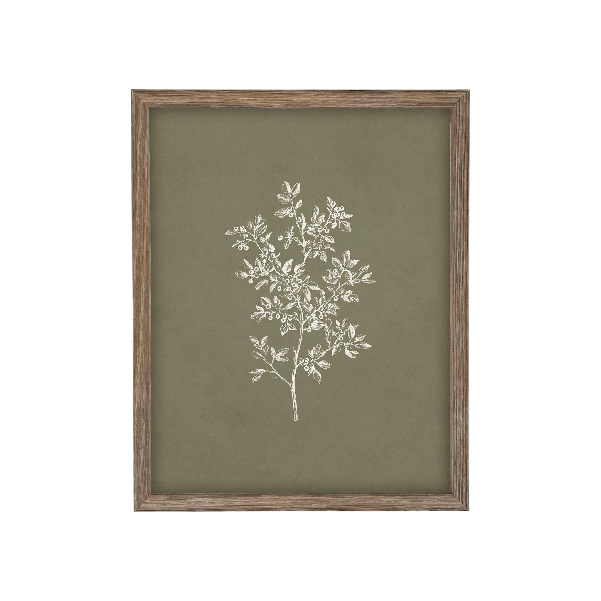 Framed Vintage Botanical Sketch Print: Farmhouse Canvas Art #ST-169