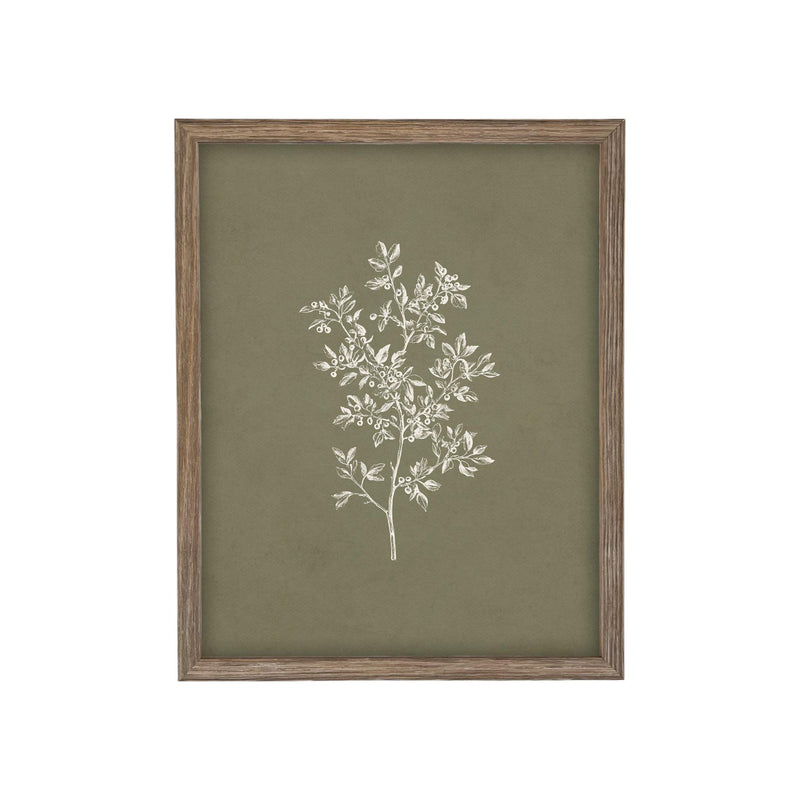 Framed Vintage Botanical Sketch Print: Farmhouse Canvas Art #ST-169
