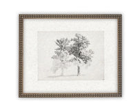 READY TO SHIP 16x20 Framed Canvas Print: Black and White Tree Sketch