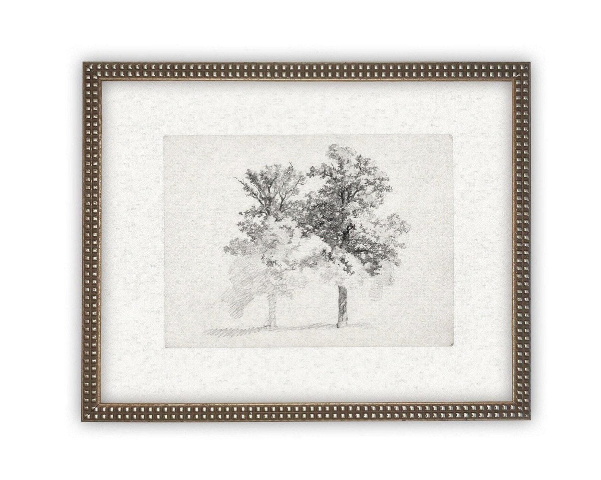 READY TO SHIP 16x20 Framed Canvas Print: Black and White Tree Sketch