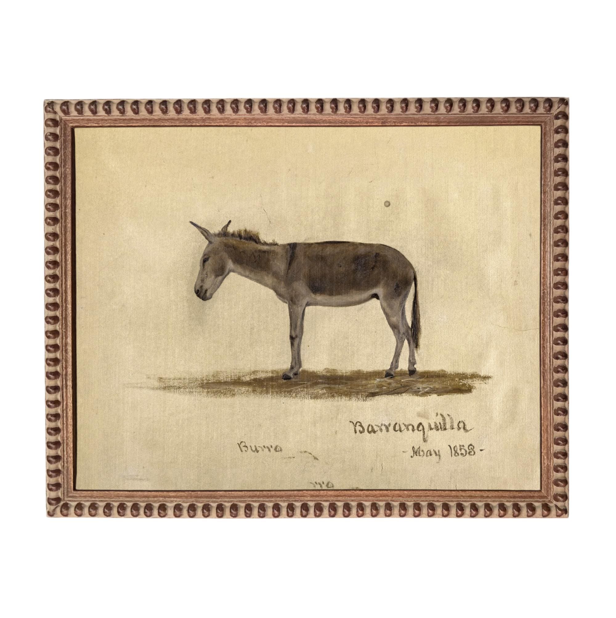 Framed Vintage Donkey Canvas Print: Farmhouse Art #A-207