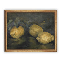 Vintage Framed Canvas Art #ST-610