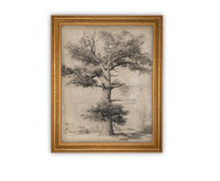 Vintage Framed Canvas Art #BOT-158