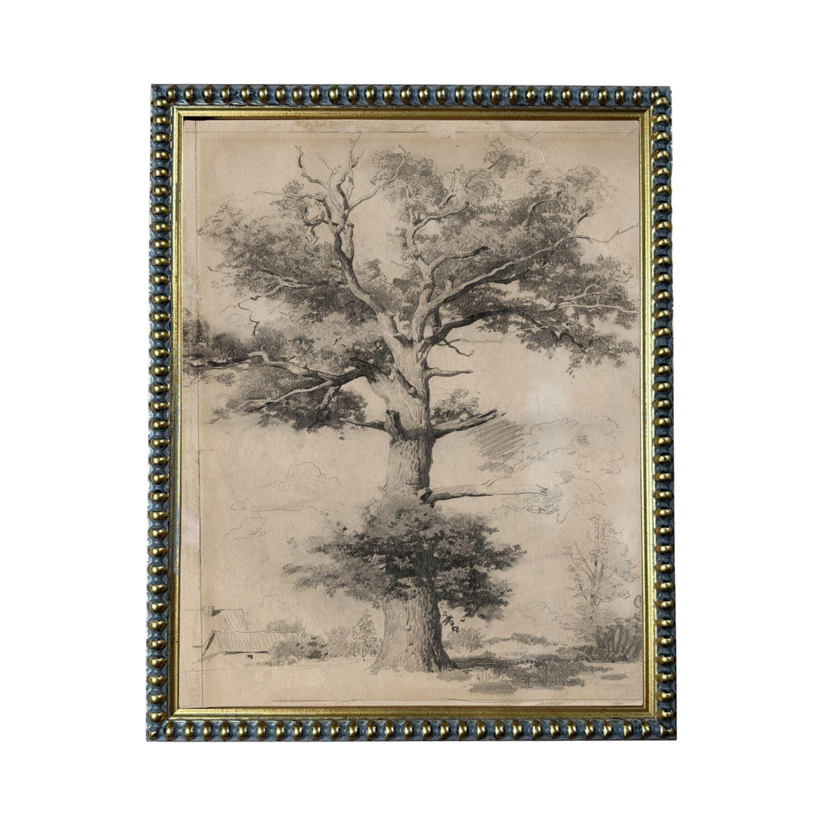 The image is a black and white sketch of a large tree with a thick trunk and numerous branches, set against a background of a field and a small building.