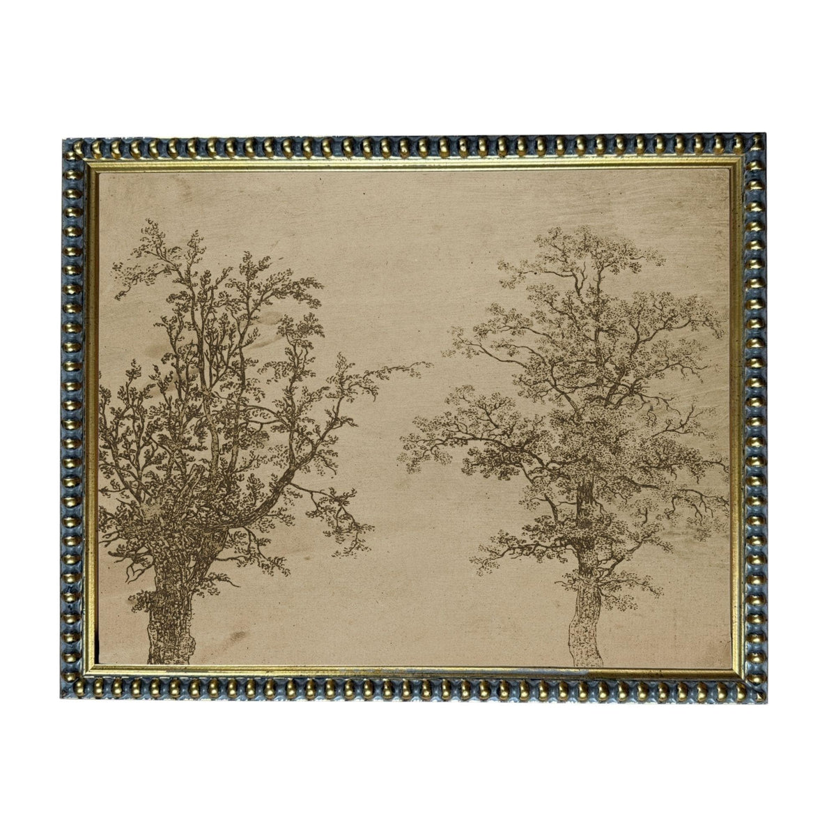 two trees with intricate, detailed drawings of their branches and foliage.