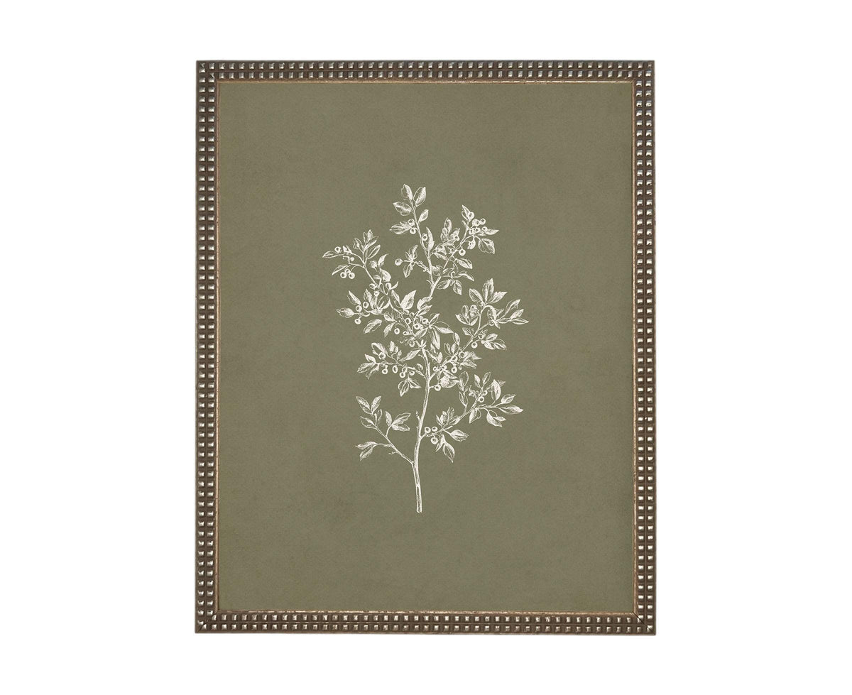 Vintage Framed Botanical Sketch #BOT-169