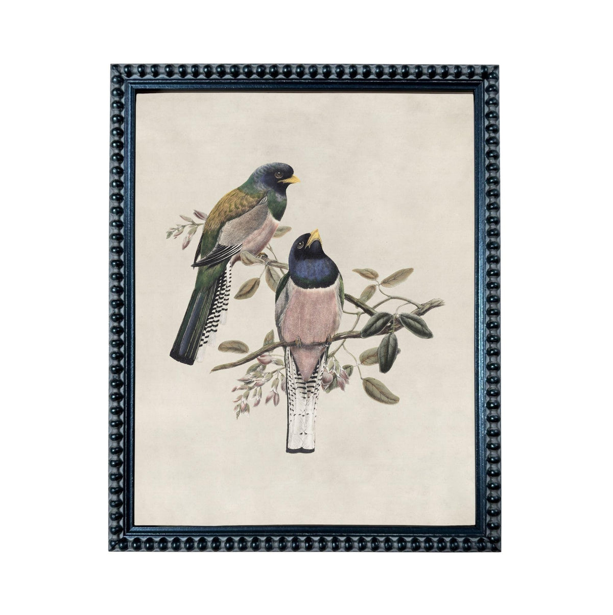 A framed illustration of two colorful birds perched on a branch with leaves and flowers.