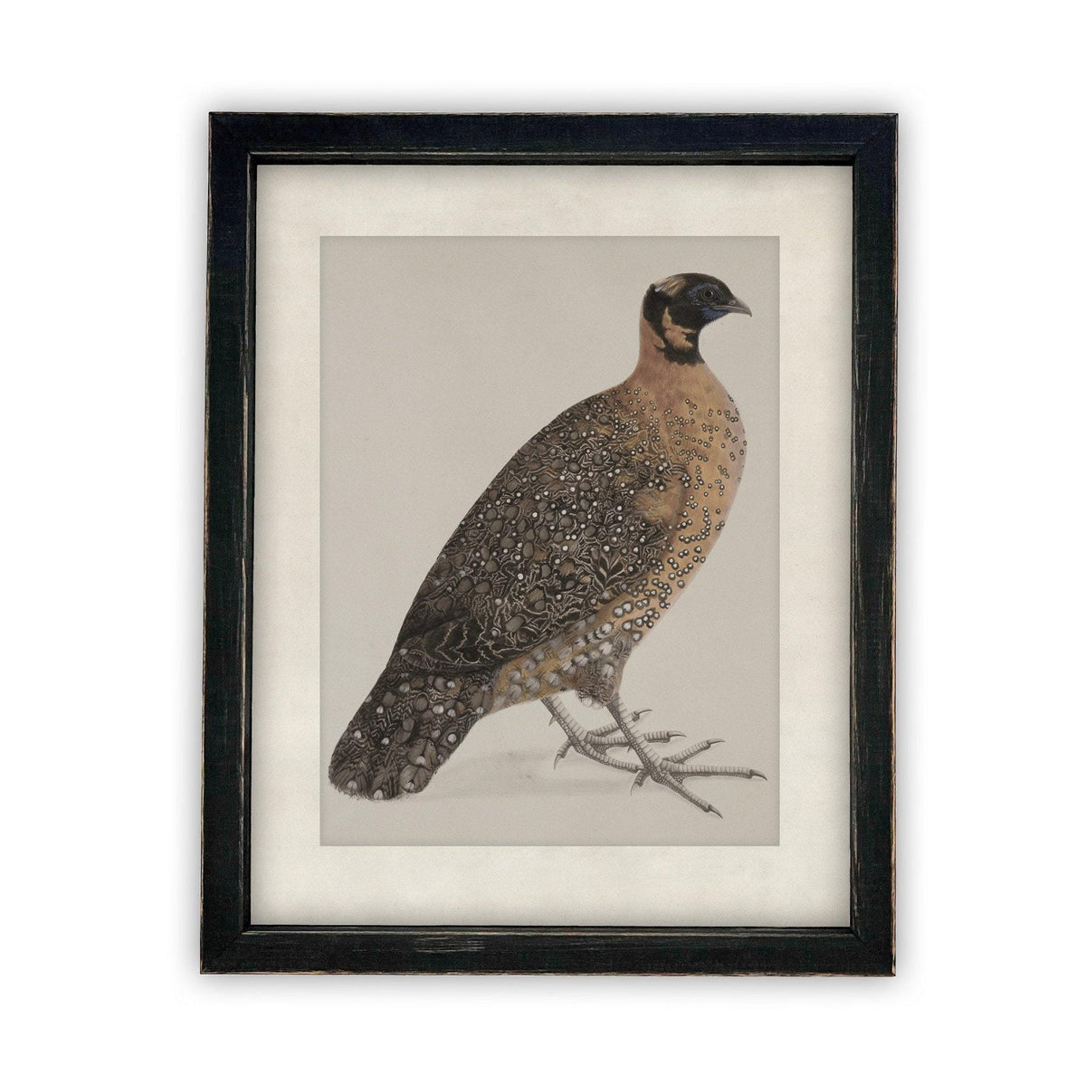 Vintage Framed Canvas Art #A-104