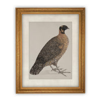 Vintage Framed Canvas Art #A-104