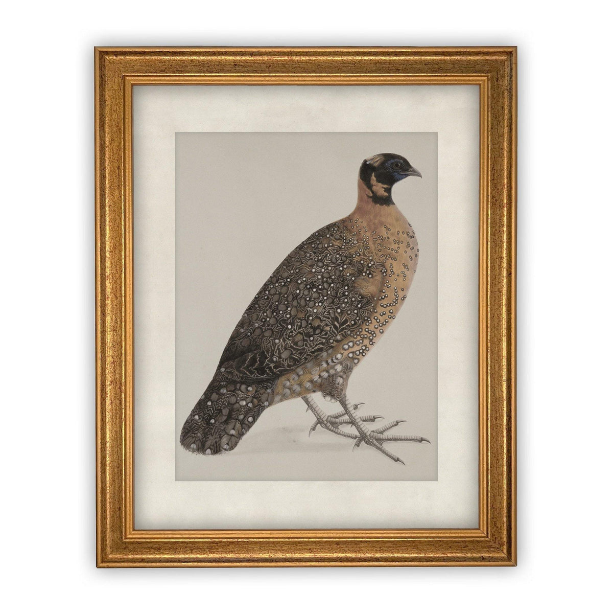 Vintage Framed Canvas Art #A-104