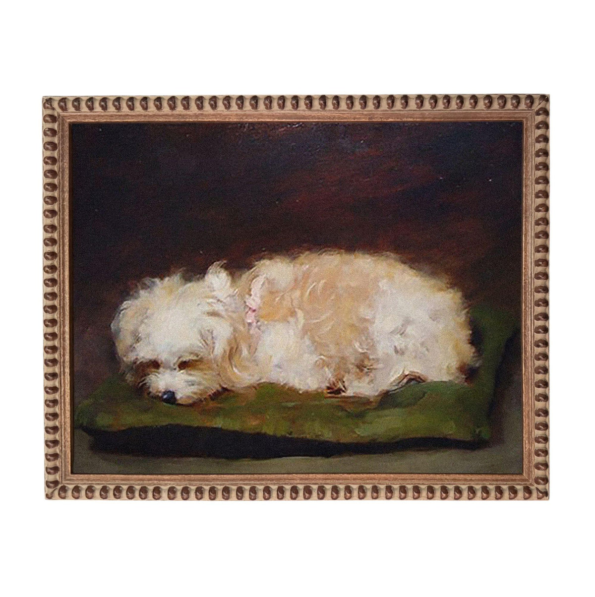 A small white dog is peacefully sleeping on a green cushion in the center of the image.