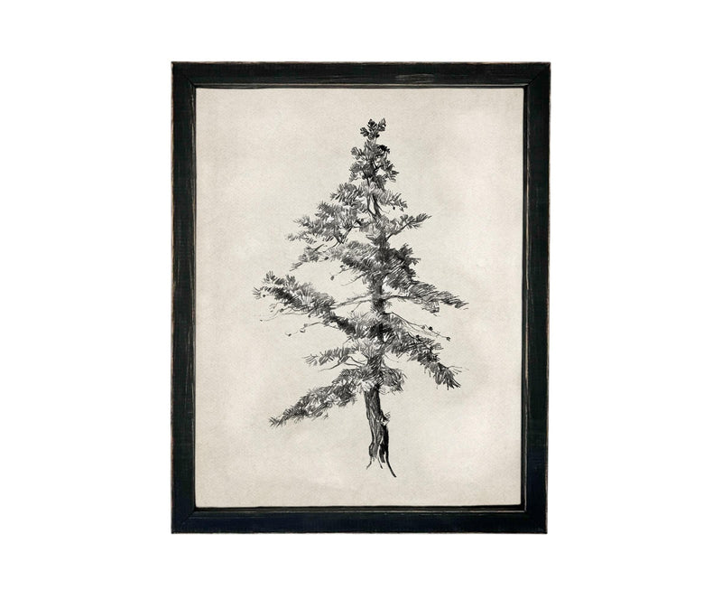 Vintage Framed Tree Sketch: Black and White Canvas Art Print #BOT-168