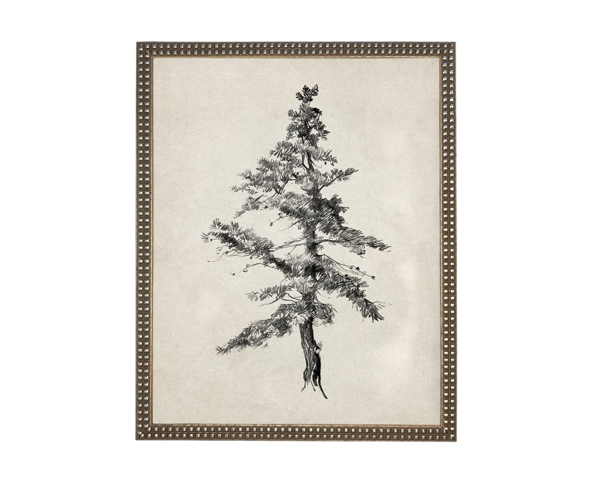 Vintage Framed Tree Sketch: Black and White Canvas Art Print #BOT-168