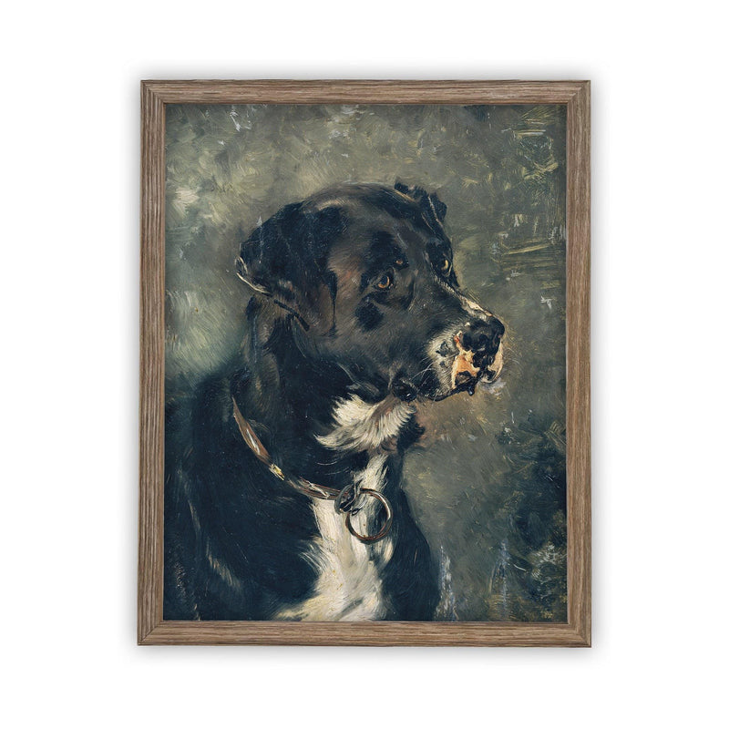 Framed Black and White Dog Art #A-110