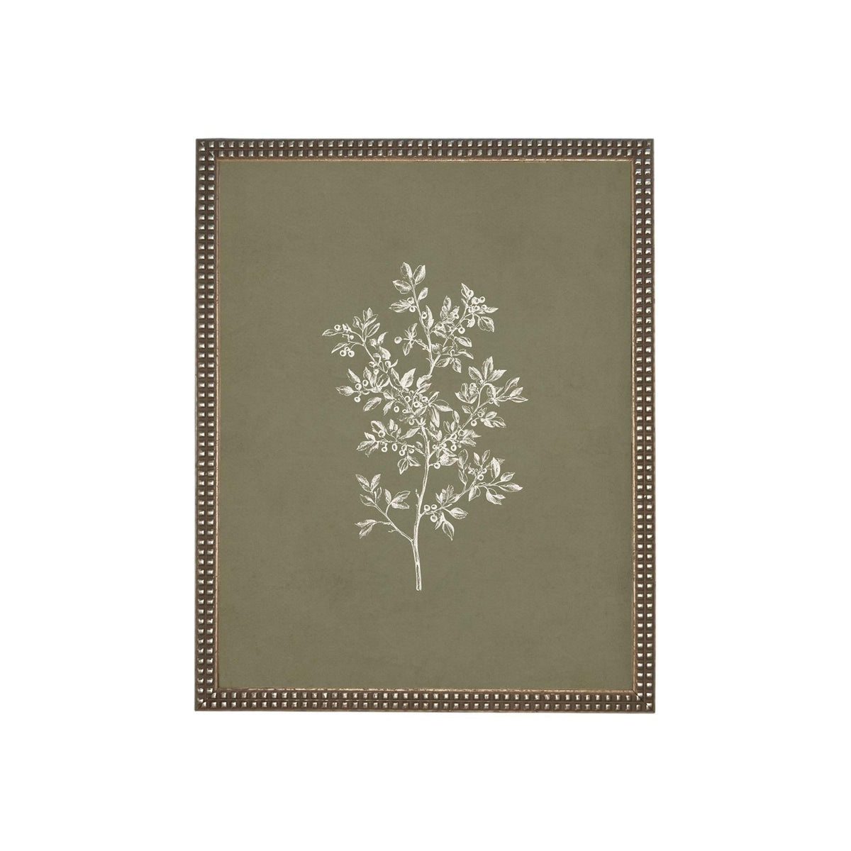 Framed Vintage Botanical Print on Canvas #ST-169