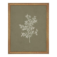 Framed Vintage Botanical Print on Canvas #ST-170
