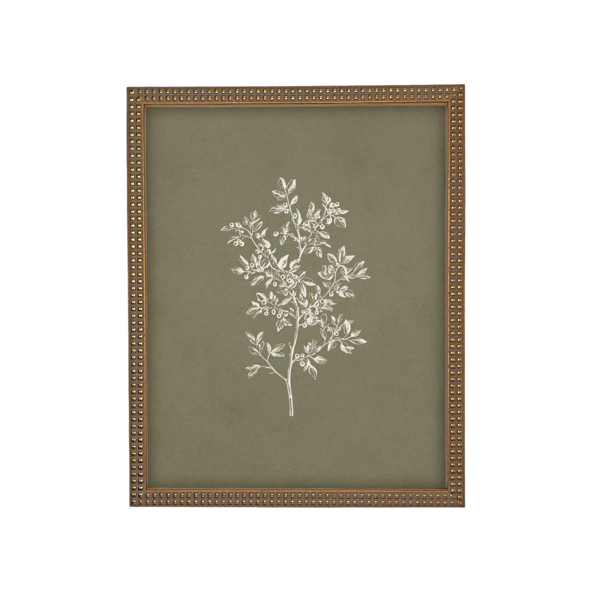 Framed Vintage Botanical Print on Canvas #ST-169