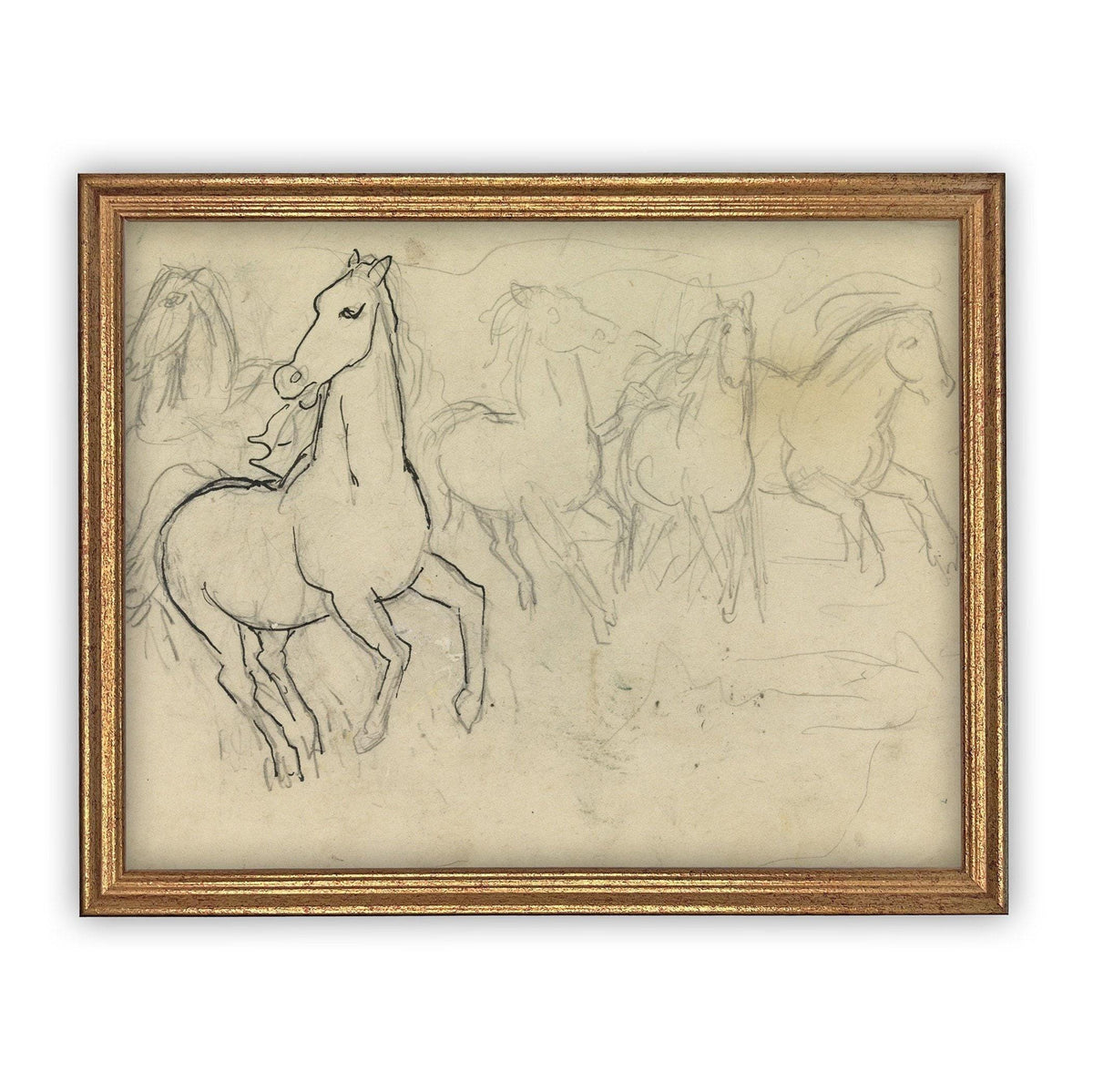 Vintage Framed Canvas Art Vintage Horse Sketch Art #A-128