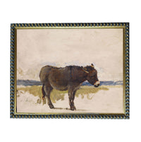 a brown donkey standing in a field.