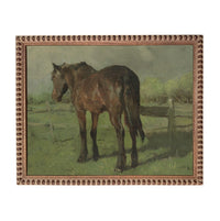 a brown horse standing in a grassy field, with a wooden fence and trees in the background.