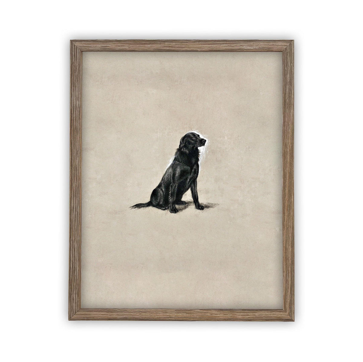 Framed Canvas Art #A-118