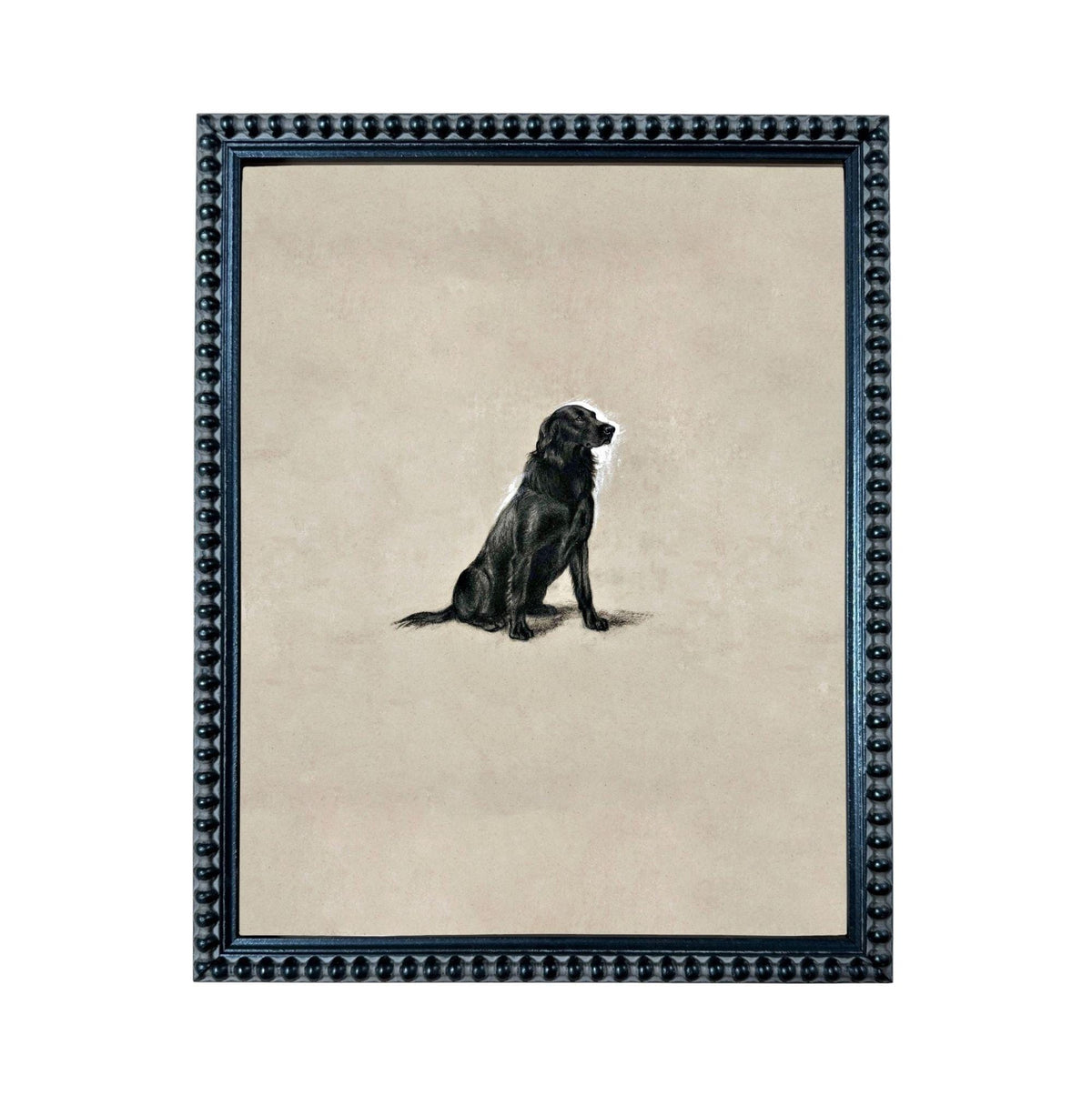 A black dog sitting on a beige background, framed in a black frame with a decorative border.