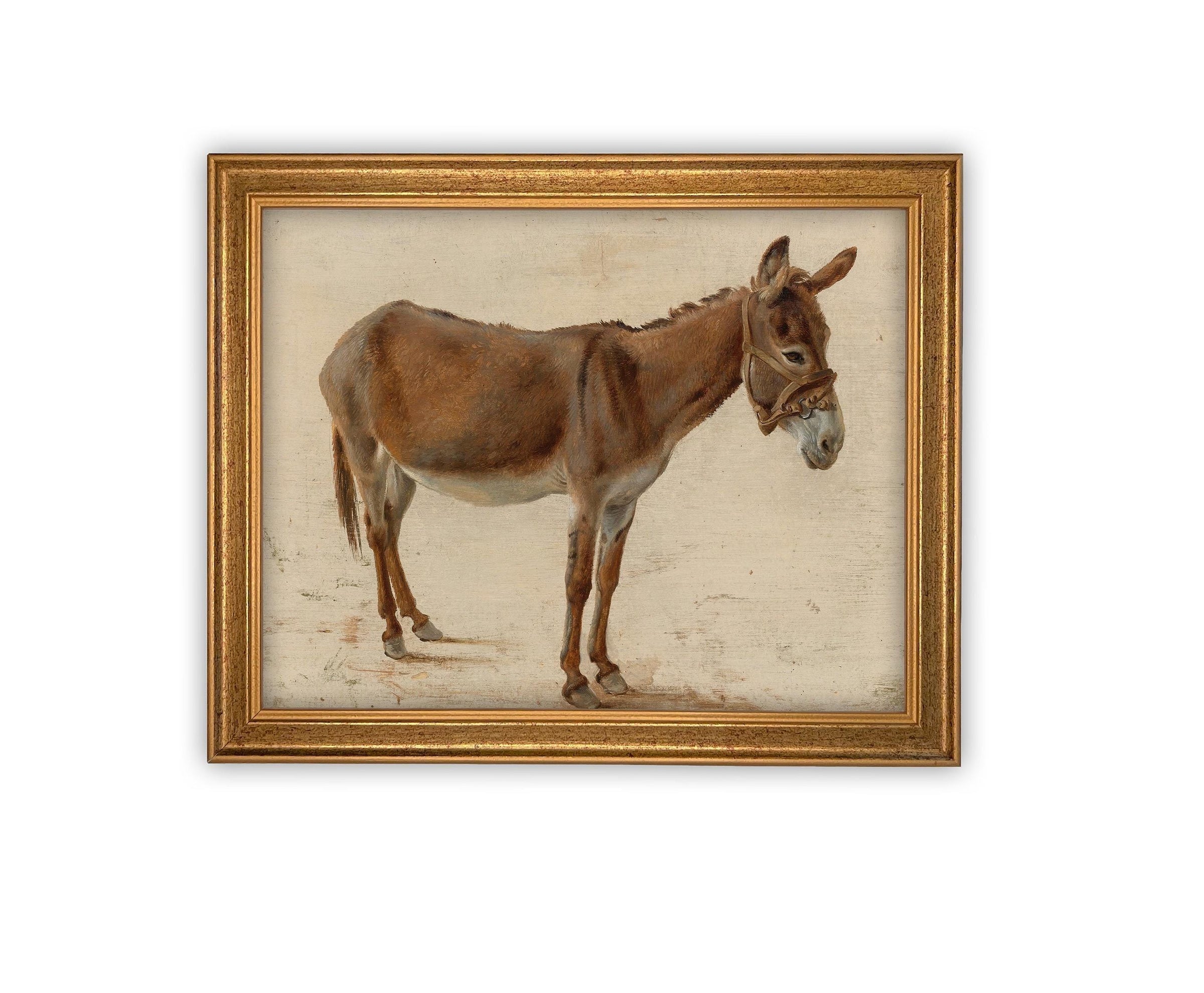 Vintage Framed Canvas Art #A-179