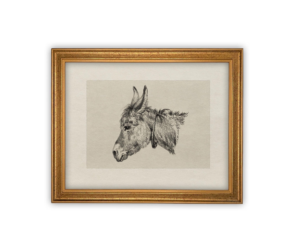 Vintage Framed Canvas Art #A-177