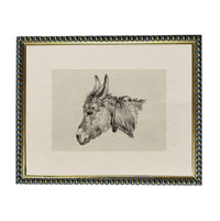 A framed black and white drawing of a donkey's head.