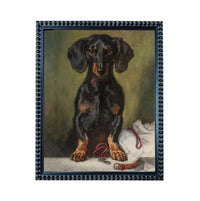 A black and brown dachshund dog sitting on a white cloth, with a red leash and collar nearby.