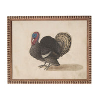 A framed illustration of a turkey, depicting a detailed and realistic representation of the bird.