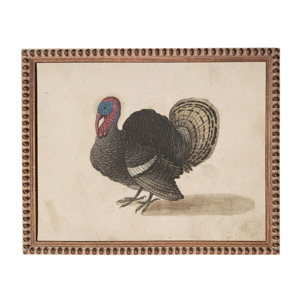 A framed illustration of a turkey, depicting a detailed and realistic representation of the bird.