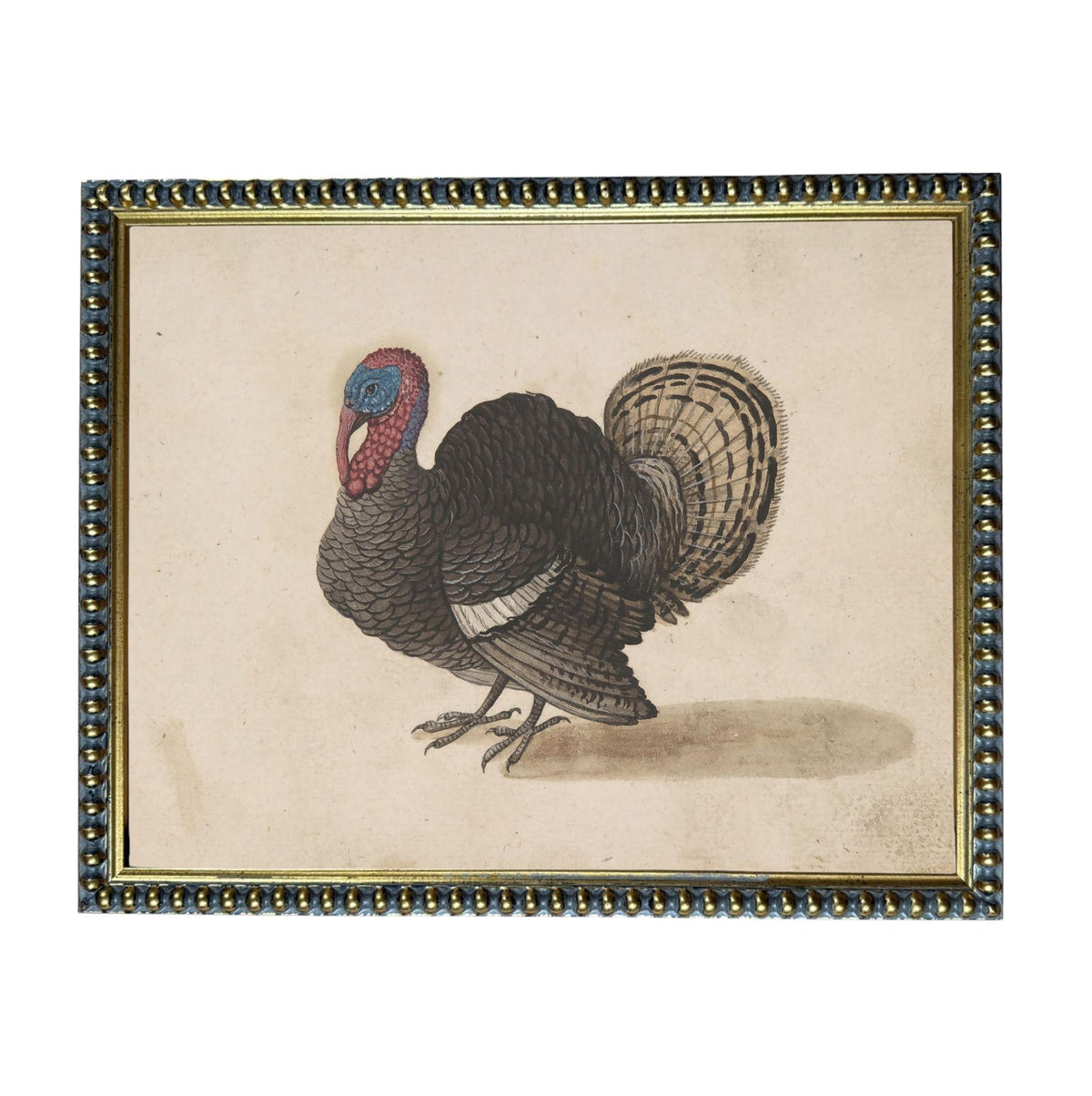 A framed illustration of a turkey, depicting a detailed and realistic representation of the bird.