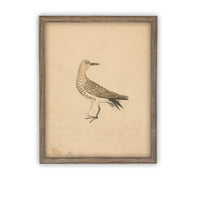 Vintage Framed Canvas Art #A-182