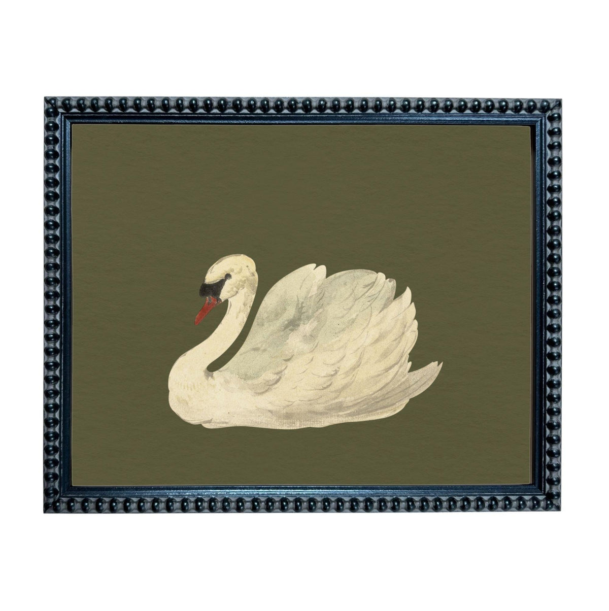A framed image of a white swan with a red beak, set against a dark green background.