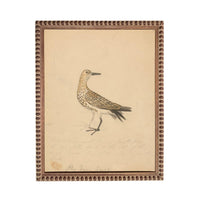 The image is a framed drawing of a bird, likely a seagull, standing on one leg.