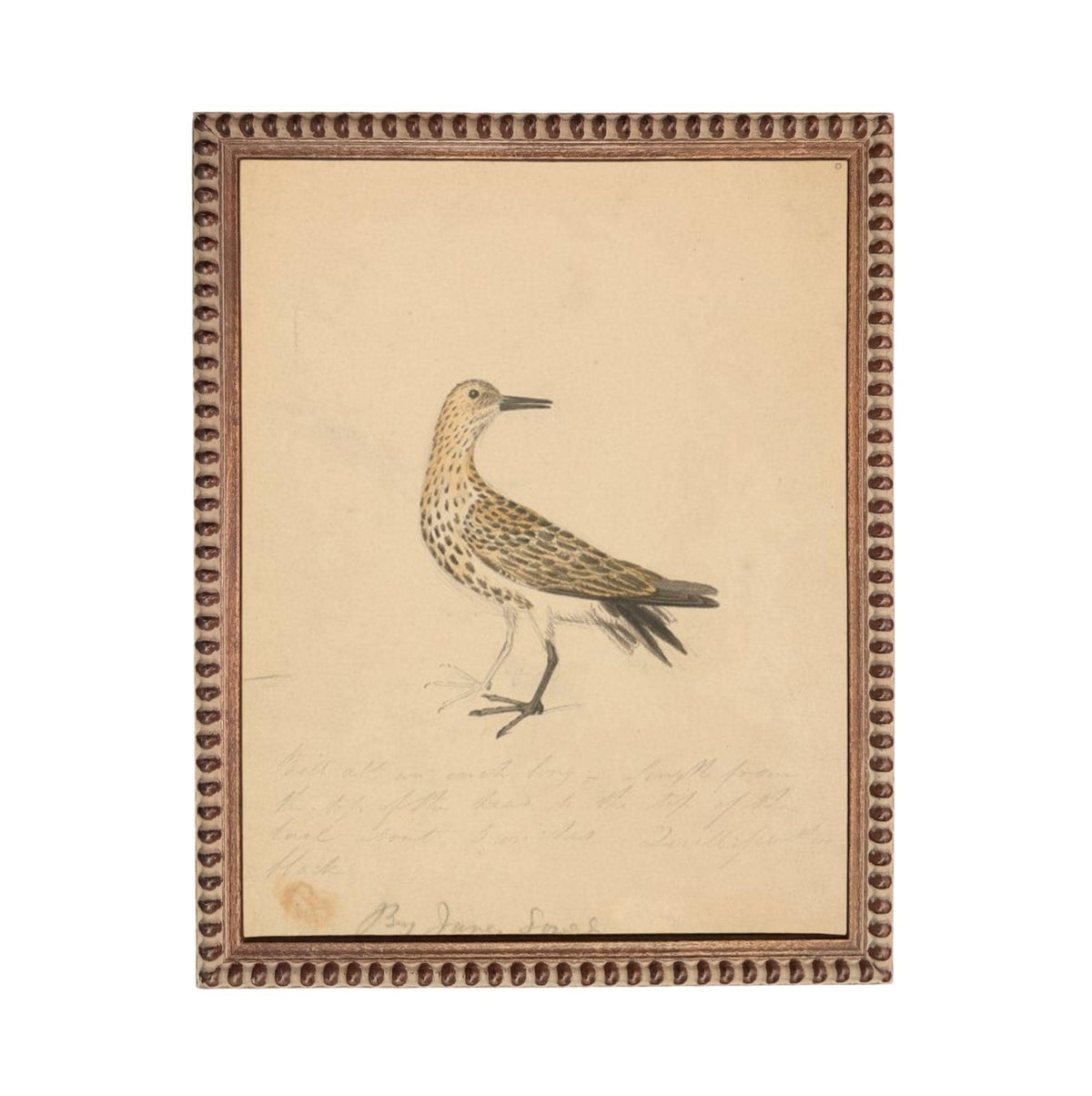 The image is a framed drawing of a bird, likely a seagull, standing on one leg.