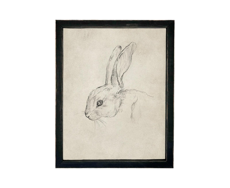 Vintage Framed Bunny Sketch Art #A-204