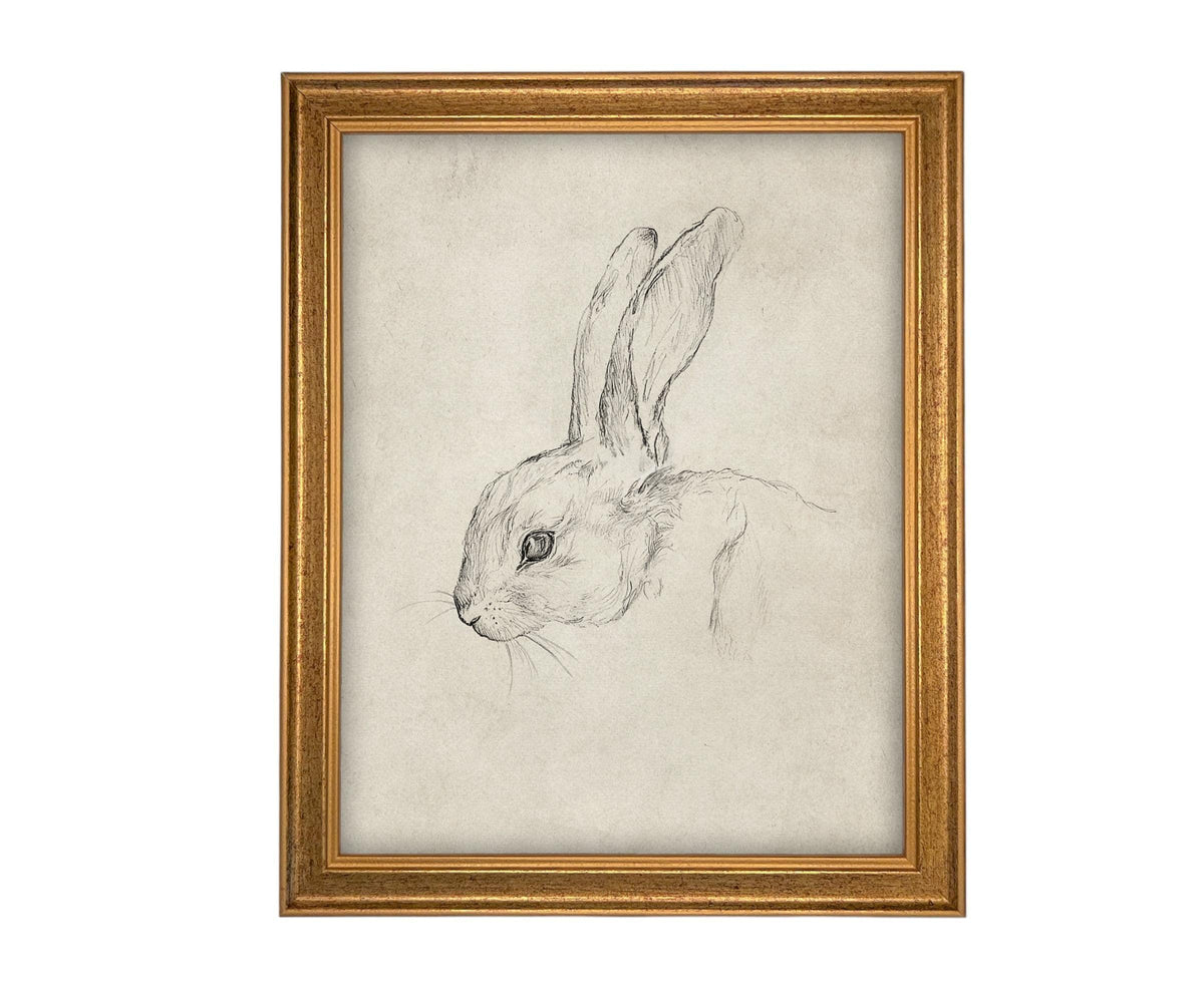 Vintage Framed Bunny Sketch Art #A-204