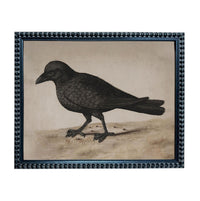 A black and white illustration of a bird standing on the ground.