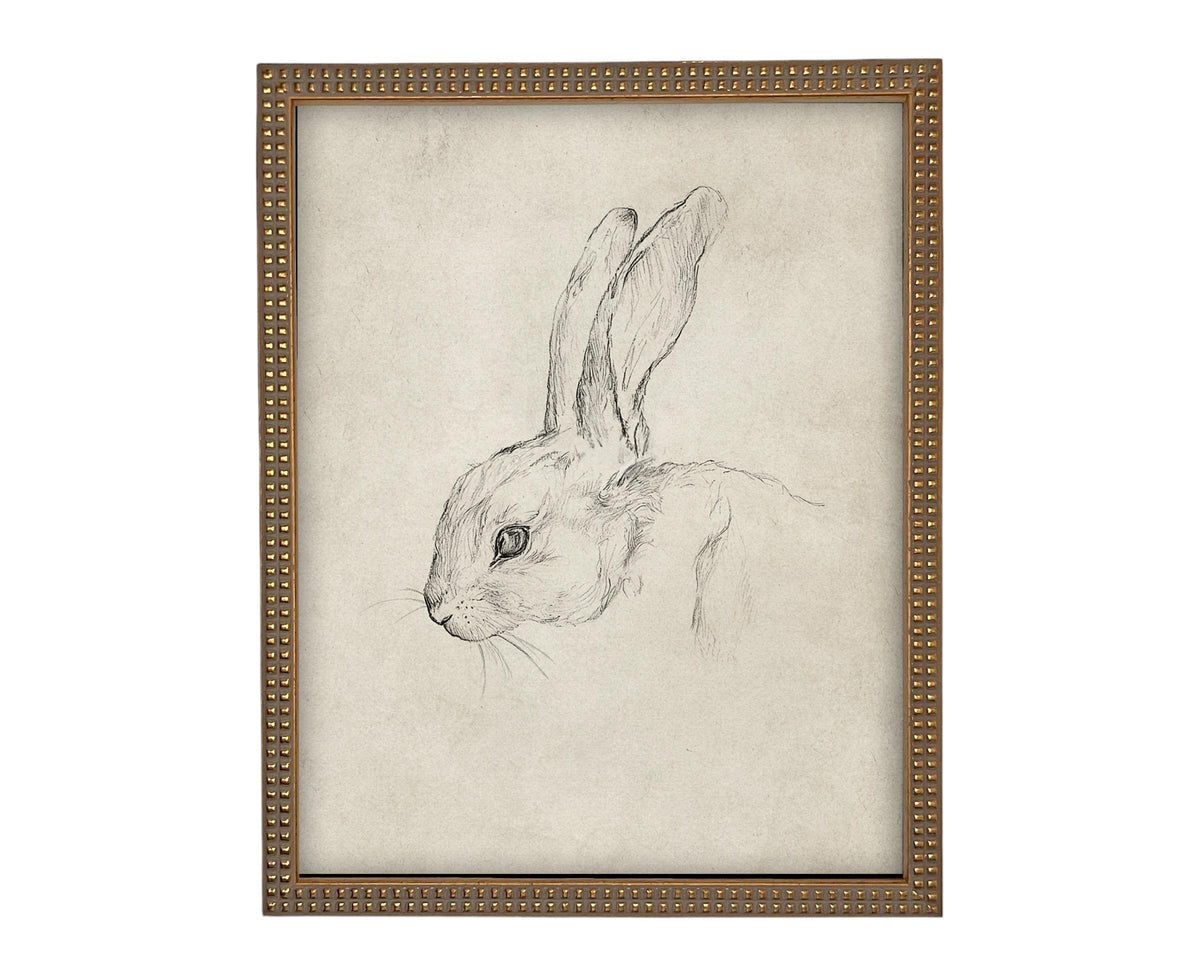 Vintage Framed Bunny Sketch Art #A-204