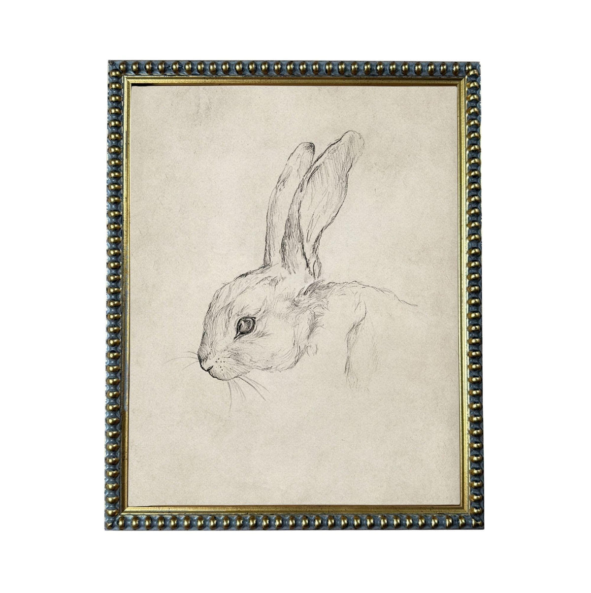 A framed drawing of a rabbit's head in black and white.