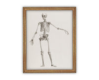 Vintage Framed Canvas Skeleton Sketch Art #H-105
