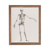 The image is a framed illustration of a human skeleton, depicting the skeletal structure in a detailed and anatomical manner.