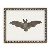 Vintage Framed Canvas Art Bat #H-101