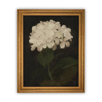 Framed Canvas Botanical Floral Art #BOT-103